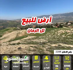  1 رقم الاعلان (2288) تل الرمان قرب مطاعم تل الرمان والشاليهات اطلالة كاملة على السد