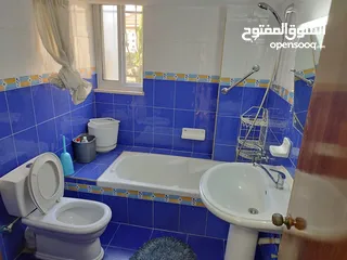  3 شقه مفروشه في عين منجد