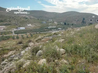 1 نمر للبيع بمساحات متعدده