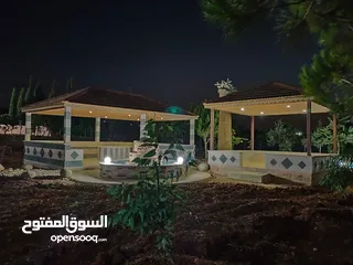  20 مزرعة مميزة ناعور المشقر