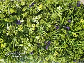  4 عشب جداري & عشب صناعي & نجيل صناعي & grass wall & wall grass & green wall