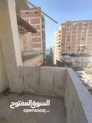  14 شقة مفروشة للايجار اليومى بالاسكندرية