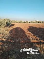  7 مزرعه مساحه 3400 م للبيع مفروز قوشان مستقل رحاب بالقرب من طريق اربد الزرقاء واصل جميع الخدمات