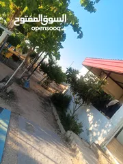  14 بيت مستقل تقريبا مزرعه مشيكه كامله مزروعع عنب وحمضيات مساحه البناء 160م وغرفه خارجيه 40م الواقع احلا