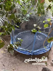  1 نطاطية Trampoline