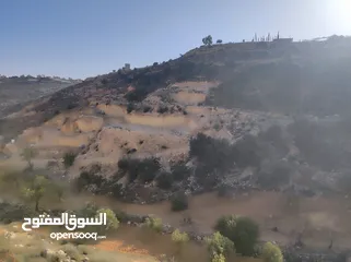  4 ارض للبيع 1000 متر طابو ابو نجيم