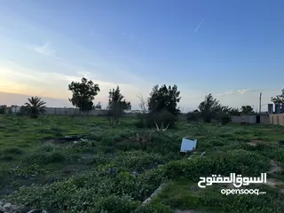  10 مزرعه للإيجار في سيدي خليفه تحتوي علي منزل