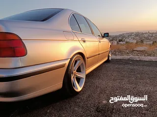  8 BMW E39الدب