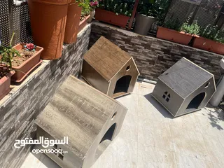 16 بيت للكلاب او القطط خشب لاتيه 18 قوي ومتين عده موديلات وألوان