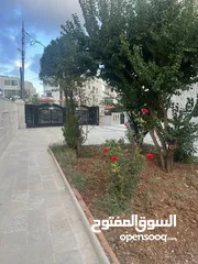  9 قصر فيلا فخمة جدا للبيع في الجبيهه