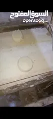 1 خط آلي كامل