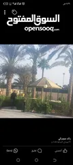  30 معرشات قصيب على جميع الاشكال الهندسيه
