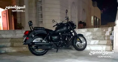  4 باندا كلاسيك