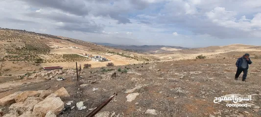 24 ارض زراعية ذات اطلالة رائعة للبيع في صروت السفوح تصلح لمزرعة او شاليه او للاستثمار أو إقامة منتجع