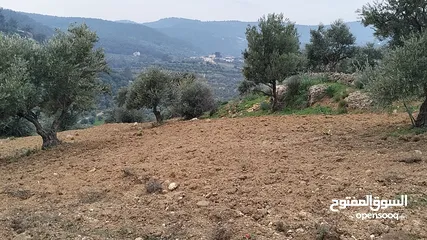  13 أرض مميزة جداً لعمل شاليه استثماري أو مزرعة خاصة أو مزرعة تجارية يوجد بها قناة ماء من المالك مباشرة