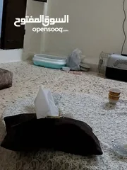  3 قط للبيع بسم الله ما شاء الله  اسم القط طبوش