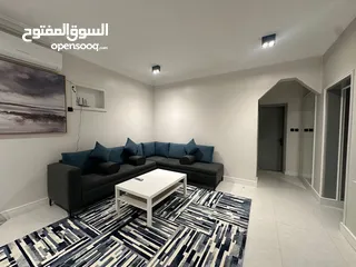  2 Furnished Apartments