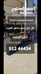  2 نقل خيل horse transportation