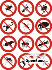  4 البيت الآمن لمكافحة الحشرات