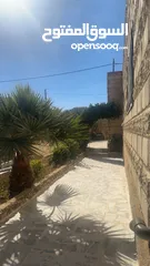  3 بيت للبيع في منطقة ناعور حسبان