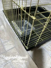  5 قفص ببغاء ذهبي لون ثابت أساسي نخب أول يصلح للمعاكيف المتوسطة والكبيرة اقرأ الوصف