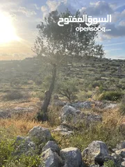  2 ارض مميزة. للبيع