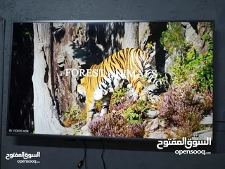  3 استبدل شاشتك القديمة بشاشة جديدة وادفع الفرق