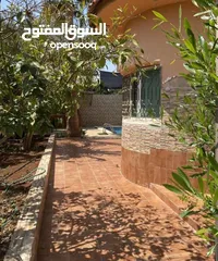  5 مزرعه مع بركه الغور منطقه الشميساني
