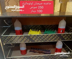  18 فقاسات اوسكار  احدث اصدار 2025