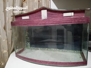  3 حوض سمك كبير