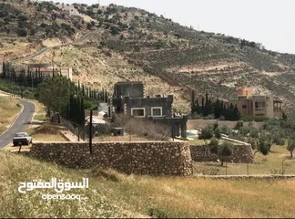  4 مزرعه للبيع في السلط مساحة الأرض 4218م مساحة البناء 450م