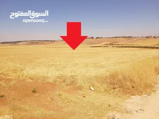 9 مادبا ماعين غرابيات ام راسين قطعة ارض زراعية بمنطقة هادئة و مميزة بمساحة 5300 م واصل الخدمات