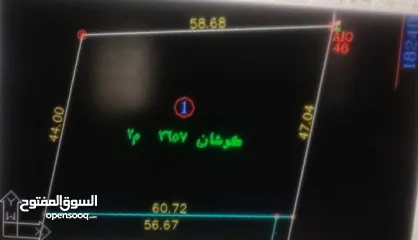  4 ارض لقطة بنصف السعر بين الباذان والنصارية