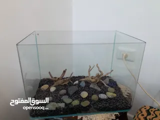  1 حوض سمك كريستال