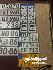  6 نمر ألمانيا واروبية
