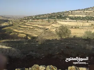  14 ارض بالعالوك مساحة 3 دونم و 400 متر في اجمل مناطق المحمر  للمهتمين : الاتصال على الارقام يلي بالوصف