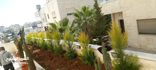  8 شمس و ورد لتنسيق وصيانة الحدائق