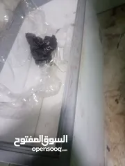  4 فريزات للبيع بسعر مغري
