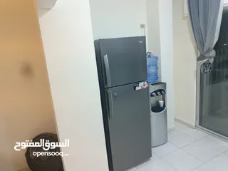  20 استوديو غرفة وصالة وحمامين وترث كبير