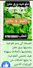  34 جبنه نابلسيه غنم ومعمول وكعك ودحدح وهريسه وكيك ومكدوس وورق عنب وملوخيه ودبس رمان وخروب  وعسل وزيتون
