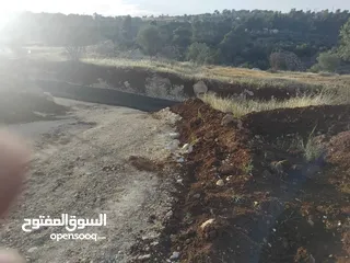  5 ارض بالعالوك مساحة 3 دونم و 400 متر في اجمل مناطق المحمر  للمهتمين : الاتصال على الارقام يلي بالوصف