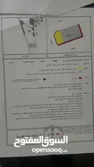  4 Freehold lands for sale in Al qasimia city