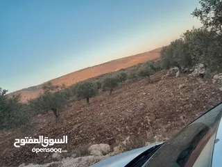  3 ارض اوصلها كل الخدمات صالحه للسكن