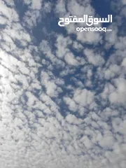  1 غااغتتبتبتتبتبت