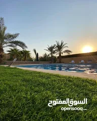  15 مزرعة نظام شاليه في منطقة الجوفه / البحر الميت
