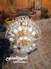  1 تريات فاخرة للبيع عدد 2