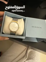  1 ساعة فخمة ذهبي و فضي ماركة سكاغن skagen