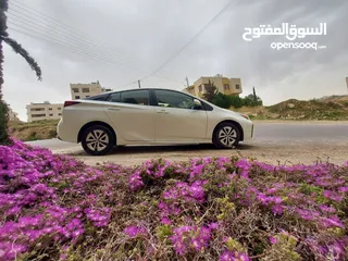  13 تيوتا بريوس 2019