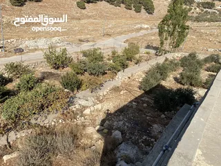  19 مزرعة للبيع في يرقا-السلط، إسكان المهندسين