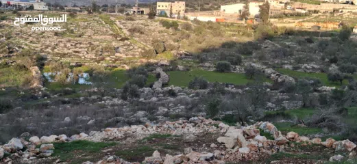  16 800متر طابوا فلسطيني في اجمل موقع بالكفريات واطلالة مميزةمنطقة( b)صالحة للبناء